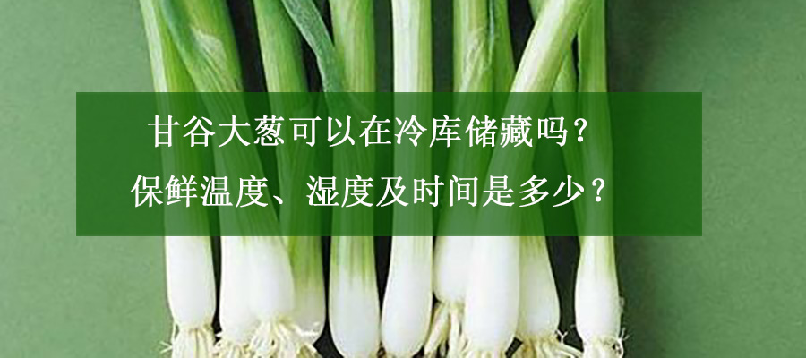 甘谷大蔥可以在冷庫儲藏嗎？保鮮溫度、濕度及時間是多少？