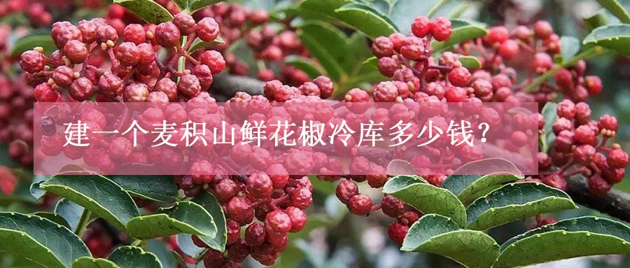 建一個(gè)麥積山鮮花椒冷庫多少錢？