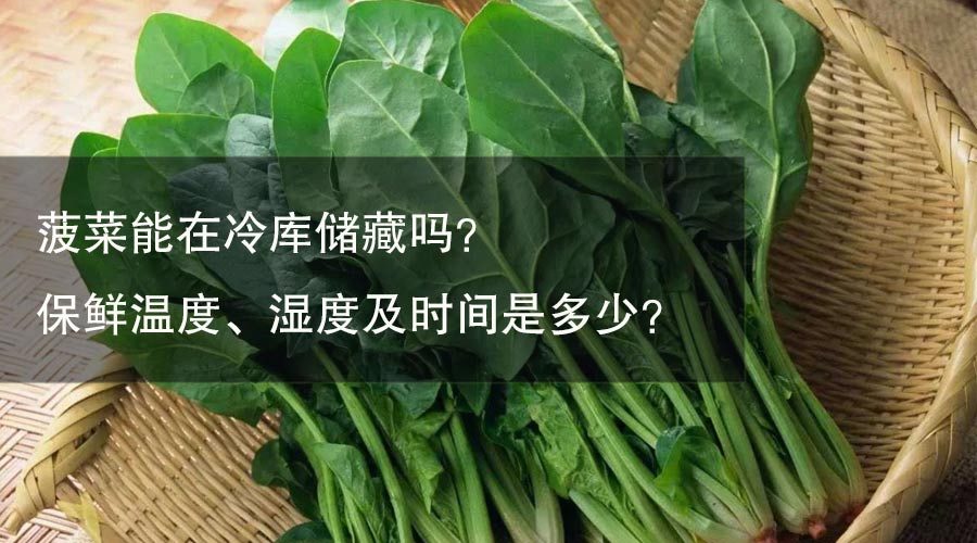 菠菜能在冷庫儲藏嗎？ 保鮮溫度、濕度及時間是多少？