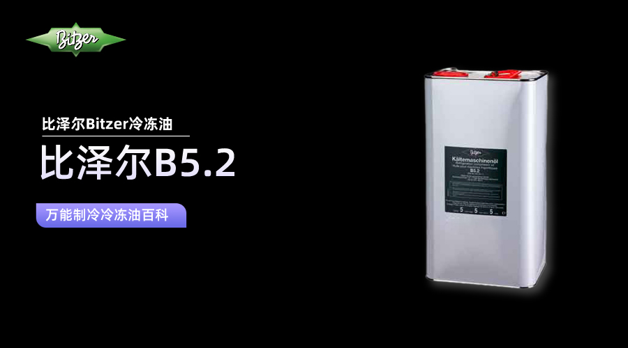 比澤爾B5.2百科知識(shí)介紹