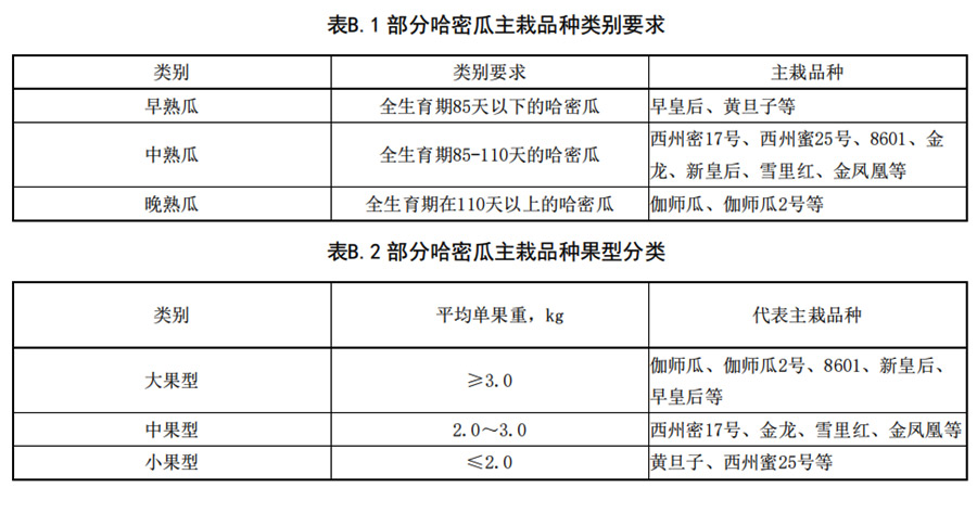 哈密瓜早、中、熟瓜和大中型瓜的分類要求