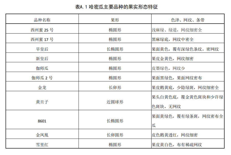 哈密瓜主要品種果實形態(tài)特征