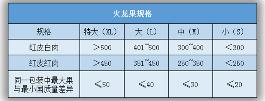 火龍果放冷庫(kù)前大小規(guī)格標(biāo)準(zhǔn)