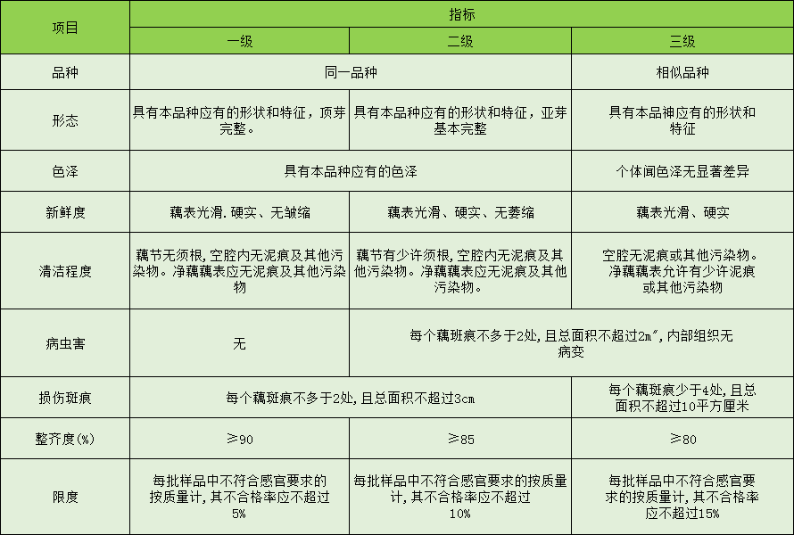 蓮藕放冷庫前分級標(biāo)準(zhǔn)