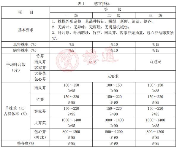 芥菜分級標(biāo)準.jpg