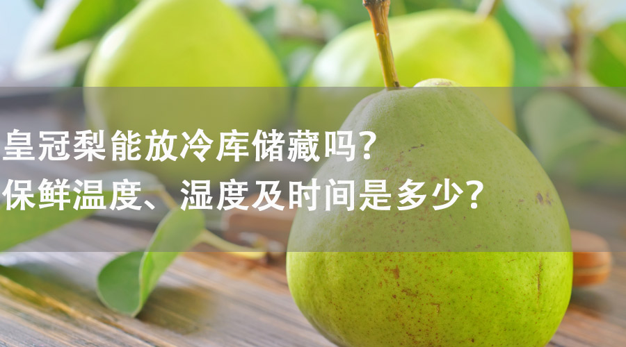 皇冠梨能在冷庫儲藏嗎？保鮮溫度、濕度及時間是多少？