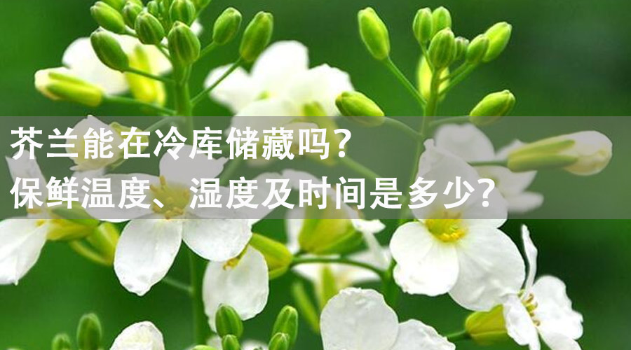 芥蘭能在冷庫儲(chǔ)藏嗎？保鮮溫度、濕度及時(shí)間是多少？