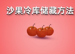 沙果（花紅）冷庫(kù)存儲(chǔ)方法詳解，保鮮時(shí)間6個(gè)月！