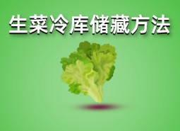 生菜冷庫(kù)存儲(chǔ)方法介紹，這樣做保鮮1個(gè)月！