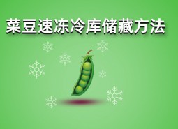 四季豆（菜豆）速凍冷庫儲藏方法詳解，保鮮時間1年不變質(zhì)！