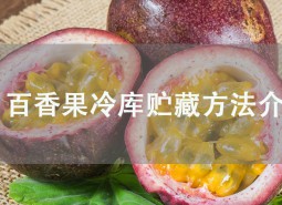 百香果（雞蛋果）冷庫儲藏方法說明