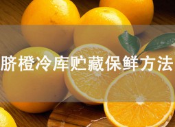 臍橙冷庫(kù)貯藏方法是什么？