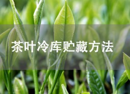 茶葉貯藏方法是什么？茶葉冷庫(kù)儲(chǔ)存介紹！