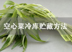 空心菜冷庫(kù)貯藏方法詳解！這樣貯藏可保鮮1個(gè)月！