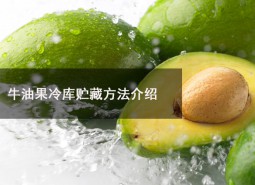 牛油果冷庫(kù)貯藏溫度為多少？可以在冷庫(kù)貯藏多長(zhǎng)時(shí)間？-萬(wàn)能制冷